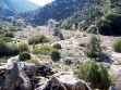 How to Survive in the Wild — Saturday, Jan. 31, 11a.m.-1 p.m. at Wind Wolves