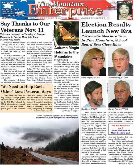 The Mountain Enterprise November 07, 2008 Edition
