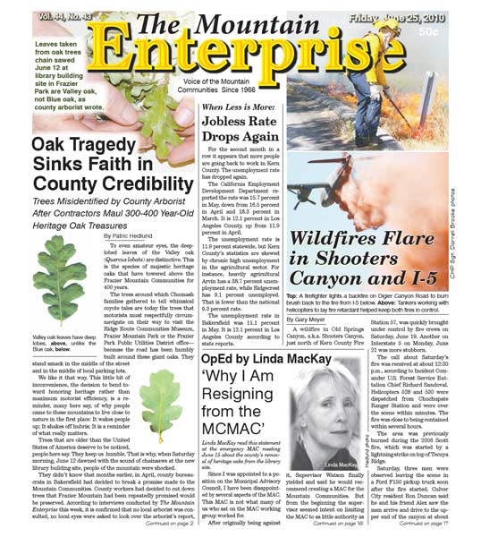 The Mountain Enterprise June 25, 2010 Edition