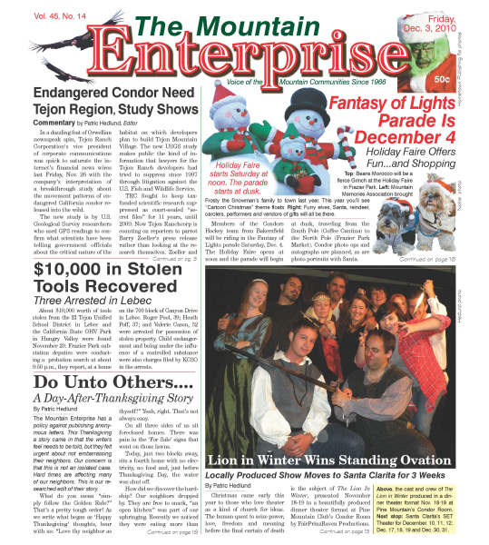 The Mountain Enterprise December 03, 2010 Edition