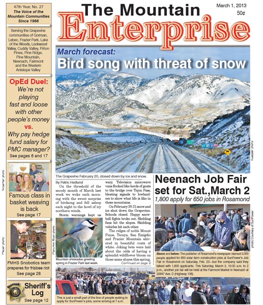 The Mountain Enterprise March 01, 2013 Edition