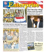 The Mountain Enterprise November 12, 2010 Edition