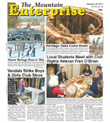 The Mountain Enterprise February 25, 2011 Edition