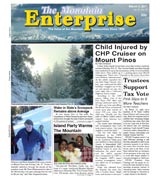 The Mountain Enterprise March 04, 2011 Edition
