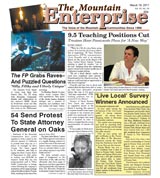 The Mountain Enterprise March 18, 2011 Edition