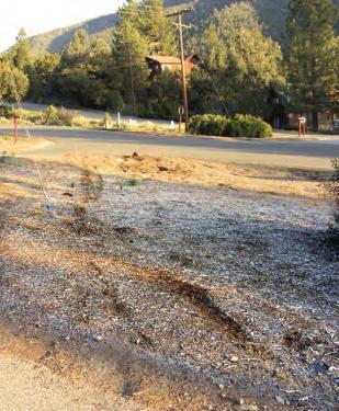  At Woodland Drive and Mil Potrero Highway, only tracks remained suggesting the stop sign had been dragged the night before to a vehicle where this photo was taken.
