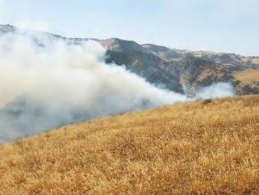 Gary Sherfey sent this photo which shows the rugged terrain in the background, the smoke rising upward as the fire climbs the adjacent ridge, and the tinder-dry grass in the foreground.