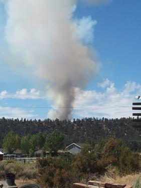 Lori Todd shot this photo of the fire from her house on Chuchupate Trail (west of Adams Trail) at about noon.