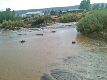 Flooding near Curtis Trail in Lockwood Valley. [photo by Ramona Moloski]