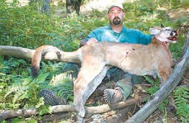Bron Sanders' whistle-blower suit opened up inquiry into illegal mountain lion hunts on Tejon Ranch under V.P. of Ranch Operations Don Geivet (now retired). This was local and national news in January 2012
