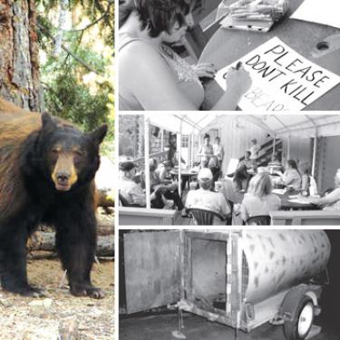 (left) Bears in the kitchen? Surprise visits have increased recently. (right) Denise Long (top) makes a sign at the Emergency Los Padres Bear Aware meeting (center) held at the Curious Bear Cafe in Pine Mountain on Tuesday, July 10. About 20 members attended in concern for the culvert trap (bottom) set on Maplewood way for bears that have repeatedly attempted to enter the home of Tim and Bobbi Marvel.

