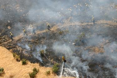 Firefighters work a burning slope just 50 feet above Interstate 5 on Saturday near Digier Canyon. [Meyer photo]

























