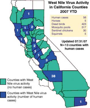 This map from the state website shows that 38 of the 56 human cases of WNV in the state during 2007 so far have occurred in Kern County, as of July 31. LaVonne Lewis, R.N. asks: Is Kern County doing enough?






