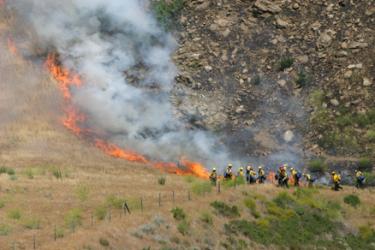 Fire crews work to control a brush fire that broke out west of Interstate 5 in Lebec. [Meyer photo]












