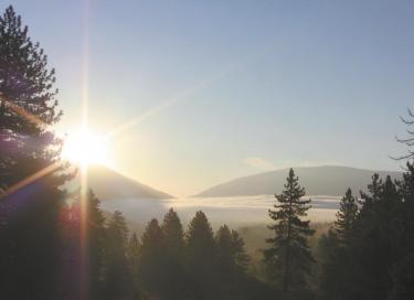 A misty sunrise over Cuddy Valley, with low clouds still slumbering like a lake beneath the pines.  