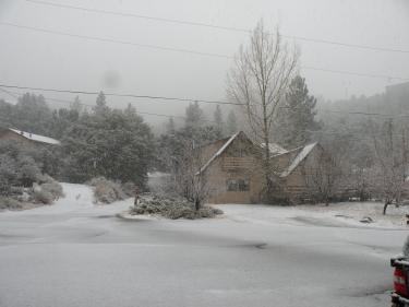 Meanwhile, at 6,000 feet in Pine Mountain, about two inches of snow fell in two hours. It lasted just an hour before a warmer rain blew through to wash much of it away. [Hedlund photo]