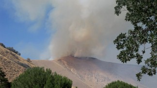 The Lebec fire comes over the hill heading south toward homes in O'Neill Canyon. [photo by Robin Barrington]