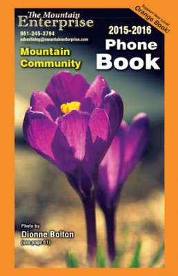 New community phone books are available now at many locations. [photo by Dionne Bolton]