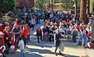Crowd at Christmas in the Village