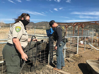 Ventura County officers seizing animals at the Beales’ home in Lockwood Valley on April 9, 2021.
