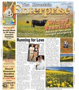 The Mountain Enterprise April 14, 2017 Edition