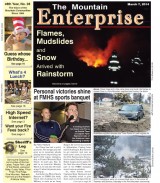 The Mountain Enterprise March 7, 2014 Edition