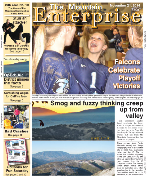 The Mountain Enterprise November 21, 2014 Edition