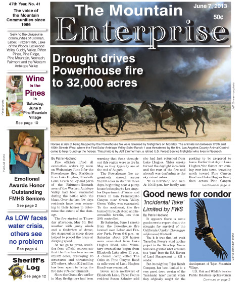 The Mountain Enterprise June 7, 2013 Edition
