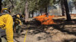 Prescribed burns for 1,895 acres of national forest completed in PMC