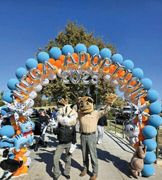 Animal mascots at event