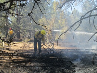 Los Padres National Forest firefighters from the Mt. Pinos Ranger District keep the water flowing at the scene of the fire near Mill Canyon Road. [photo by Gary Meyer]