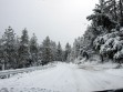 Snow and roads report