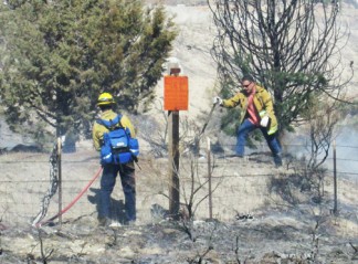 Kern County firefighters make quick work of extinguishing flames along Frazier Mountain Park Road in Lebec. [photo by Gary Meyer]