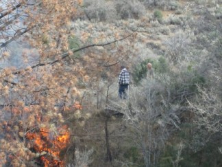 Residents on Texas Trail take a closer look at the flames as they climb into a pine tree. [photo by Gary Meyer]