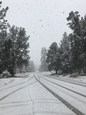 Dionne Bolton took this photo Tuesday afternoon on Mil Potrero Highway west of Pine Mountain Club as rain turned to snow and covered the roads.