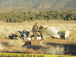 Plane crashes in Lockwood Valley