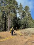 INCIDENT COMPLETED: Wildfire at top of Cuddy Valley not spreading yet