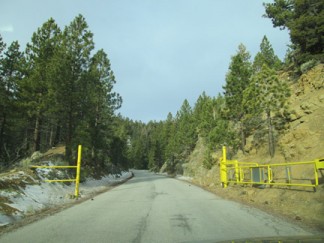 Along the way to the top of Mt. Pinos Road.  [photo by Gary Meyer, The Mountain Enterprise]