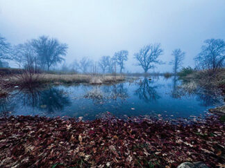 The pond at full capacity
