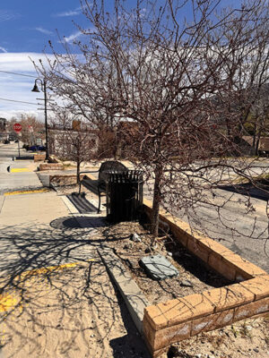 Planter box in Frazier Park