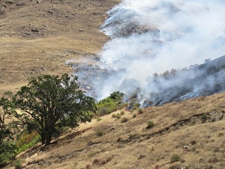 Flames inch their way down a slope just 100 yards above Interstate 5 on Friday, July 8. [photo by Gary Meyer, The Mountain Enterprise]