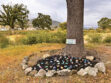 The mountain communities  celebrate Earth Day