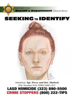 An artist's drawing of the woman whose body was found Sunday, Aug. 14 in the Gorman area [LASD artist's drawing]