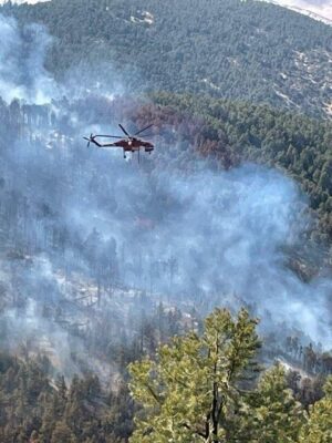 Photo courtesy of Los Padres National Forest