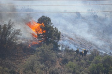 Lance Bergstrom photographed fire crews attacking flames on the hillside near the flashpoint above Frazier Mountain Park Road.