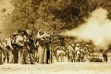 America’s bloodiest war relived at Fort Tejon