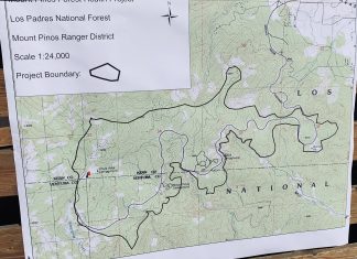 A 1,600 acre forest health project has been proposed informally for Mt. Pinos. Here is the map. Double Click to see at full size.