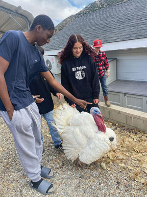 Students petting a live turkey