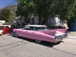 Patriotism, pets and pink tail fins