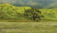 As Tejon building projects stall, Tejon Ranch Conservancy is threatened